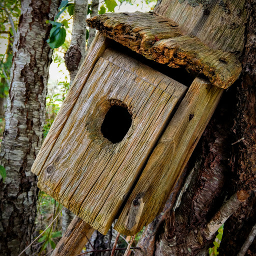 Nature Preserve «Wildlands Trust - Willow Brook Farm Preserve», reviews and photos, 99 Barker St, Pembroke, MA 02359, USA