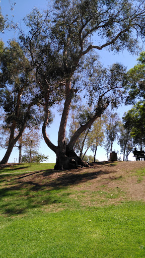 Park «Carl Thornton Park», reviews and photos, 1801 W Segerstrom Ave, Santa Ana, CA 92704, USA