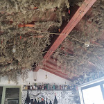 Photo n°11 de l'avis de Katia.e fait le 07/06/2022 à 10:17 sur le  Locanda San Martino à San Martino in Rio