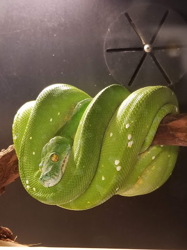 Pet Supply Store «Pet Bazaar», reviews and photos, 490 FL-436, Casselberry, FL 32707, USA