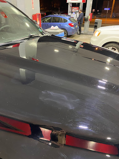 731 Chester Pike, Prospect Park, PA 19076, USA