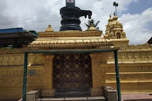 Sri Vasavi Kanyakaparameshwari Temple image