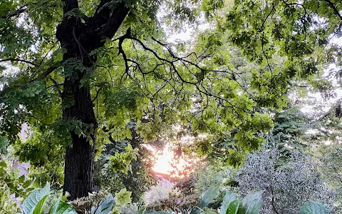 Orto Botanico "Giardino dei Semplici" - Università di Firenze image