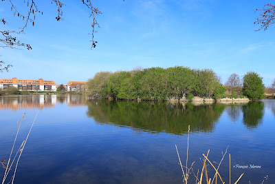 Parc naturel Du Marais à Villers-sur-Mer