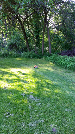 Golf Course «Kissena Park Golf Course», reviews and photos, 164-15 Booth Memorial Ave, Fresh Meadows, NY 11365, USA