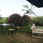 Photo n°4 de l'avis de Patrizia.r fait le 21/06/2023 à 04:41 sur le  Contea Di Val D'Amone à Brisighella