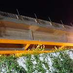 Photo n°5 de l'avis de Diana. fait le 25/07/2021 à 02:49 sur le  Pizzeria L'Altro Vesuvio à Modena