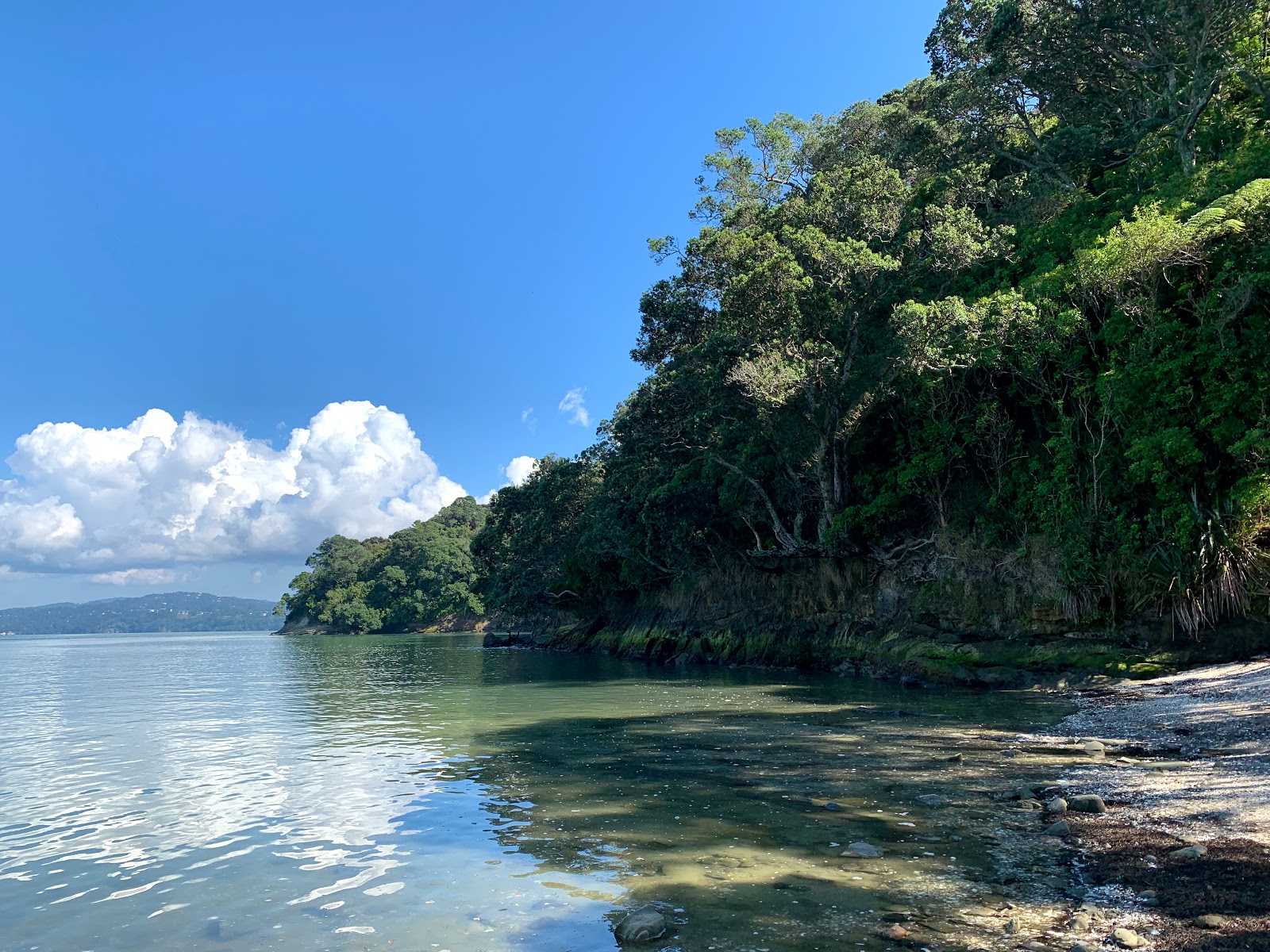 Manukau Beach的照片 带有碧绿色纯水表面