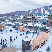 CITY CAB VERMONT - Photo 3 - Car repair in Burlington, VT, Burlington