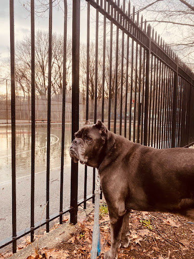 Park «Friends of Van Cortlandt Park», reviews and photos, 80 Van Cortlandt Park S, Bronx, NY 10463, USA