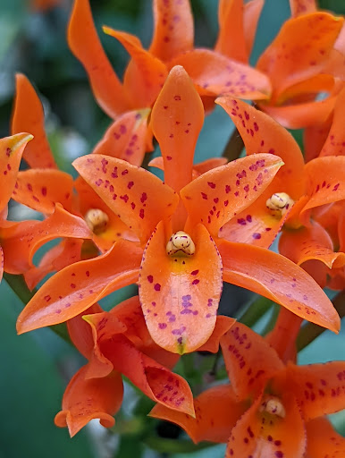 Art Museum «Smithsonian American Art Museum», reviews and photos, F St NW & 8th St NW, Washington, DC 20004, USA