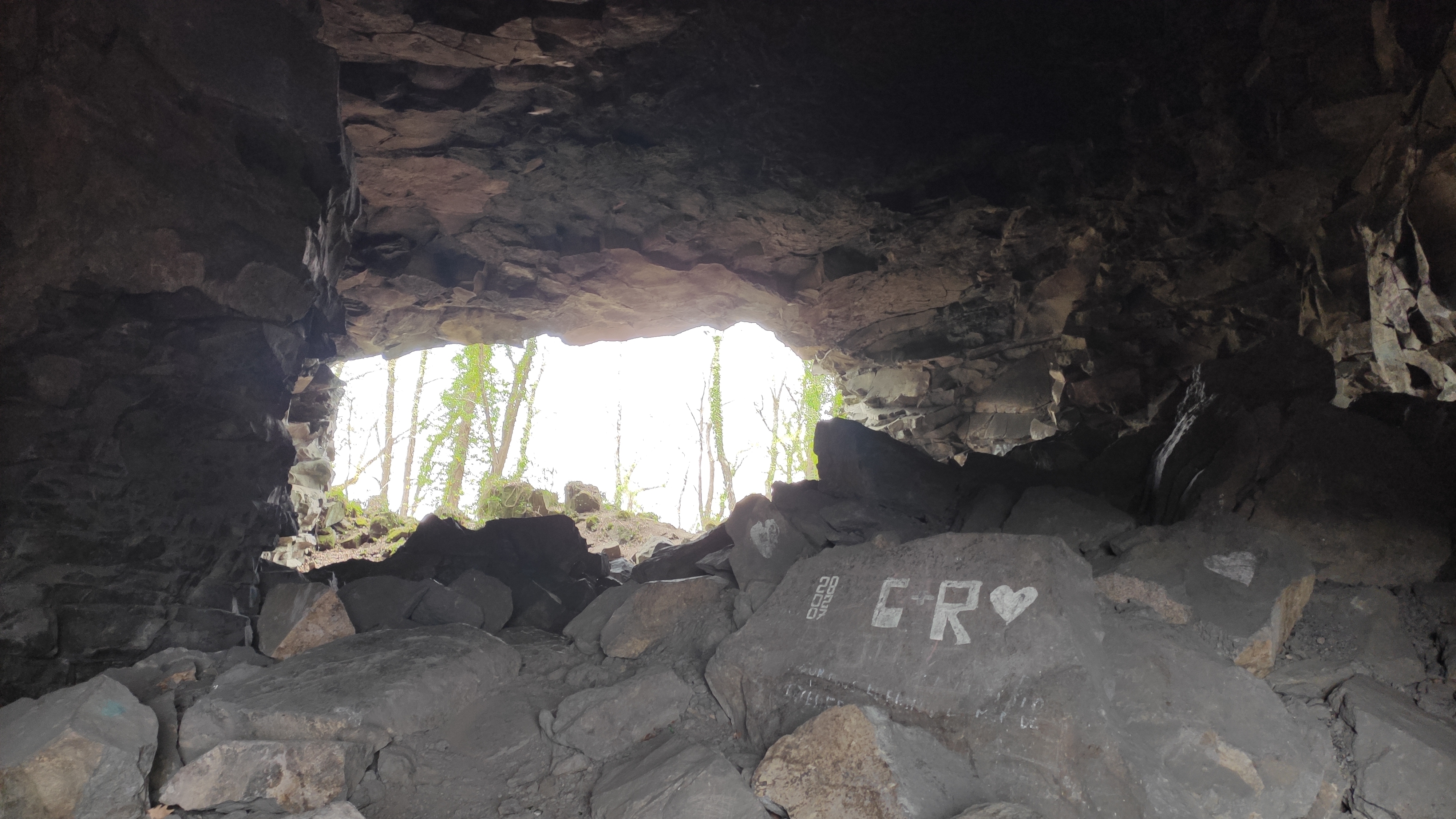Photo n° 2 de l'avis de Gerbon.i fait le 19/04/2021 à 16:19