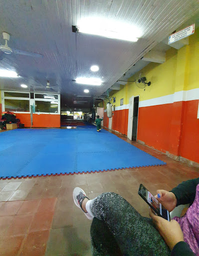 Gimnasios taekwondo Asunción