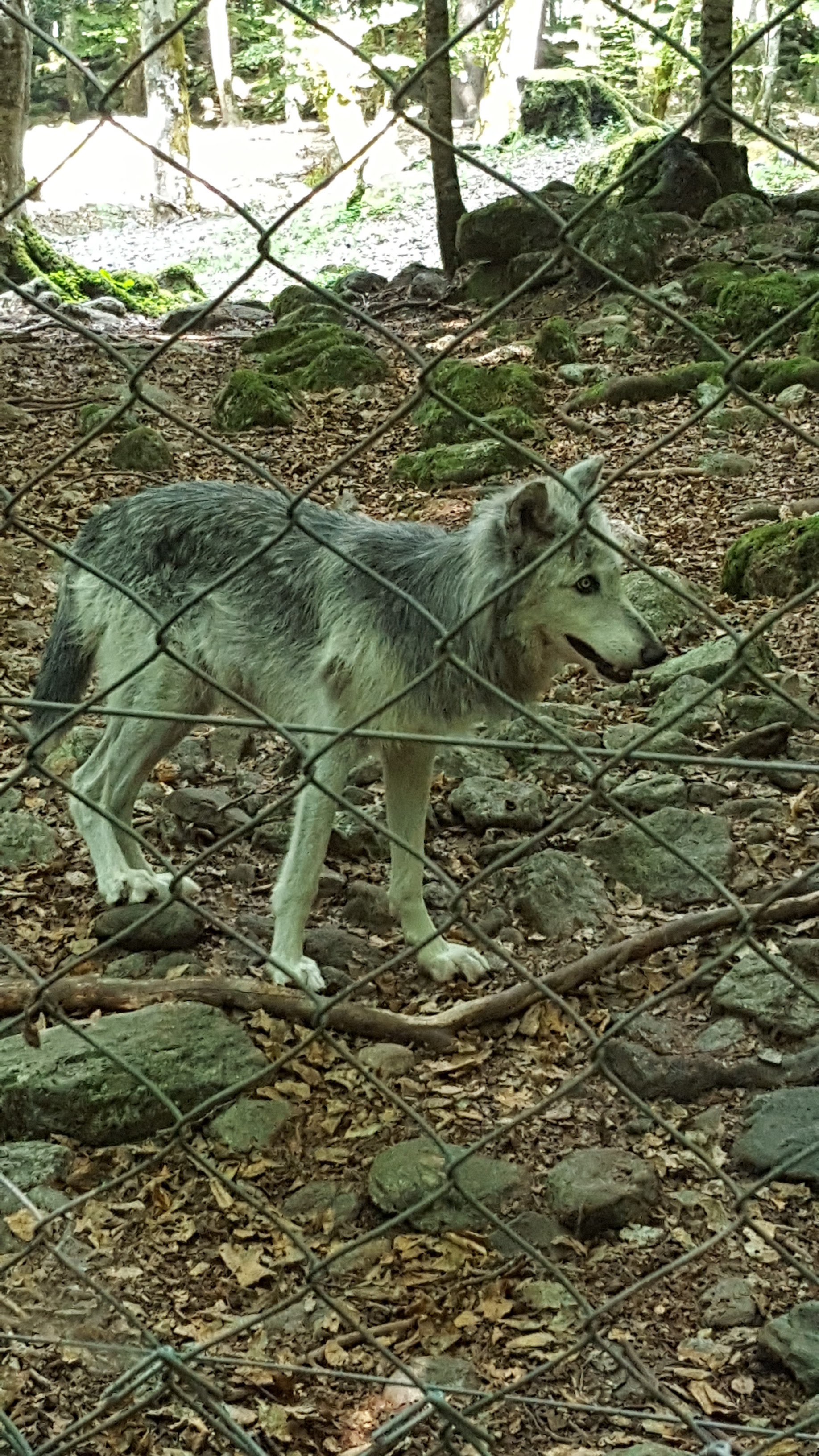 Photo n° 2 de l'avis de Laurence.o fait le 09/08/2018 à 23:04
