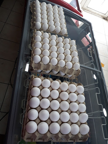Opiniones de Minimarket Don Lito en Temuco - Tienda de ultramarinos
