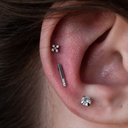 Explore lady bug tattoo ideas, creative tattoo ideas in Boston, available at Arcadia Body Piercing