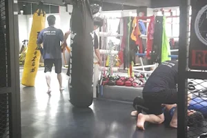 Force Gym Muay Thai & Kickboxing image