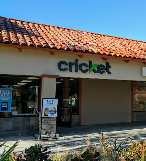 Cricket club Oceanside