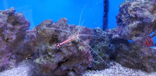 Pet Supply Store «Petco Animal Supplies», reviews and photos, 300 Hylan Dr, Rochester, NY 14623, USA