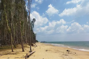 Nuraicholai Casuarina Beach , சவுக்கு தோட்டம் KasaKale image