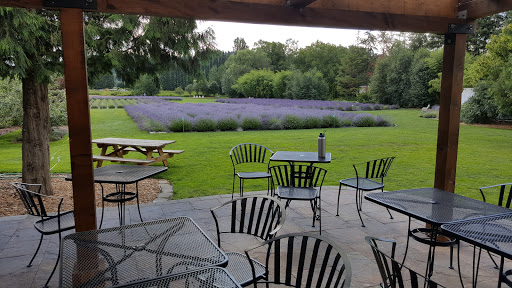 Event Venue «Woodinville Lavender», reviews and photos, 14223 Woodinville-Redmond Rd NE, Redmond, WA 98052, USA