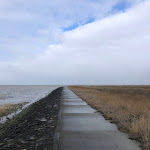 Photo n°1 de l'avis de Steffen. fait le 04/03/2023 à 12:14 sur le  Sehestedt NATIONALPARK à Jade