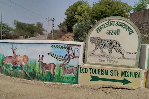 Wildlife Sanctuary Bassi, Chittorgarh image