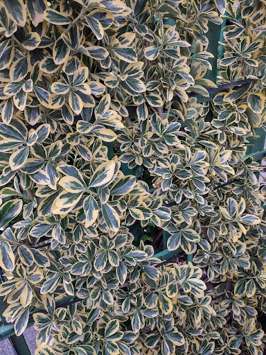 Home Improvement Store «The Home Depot», reviews and photos, 11915 WA-99, Everett, WA 98204, USA