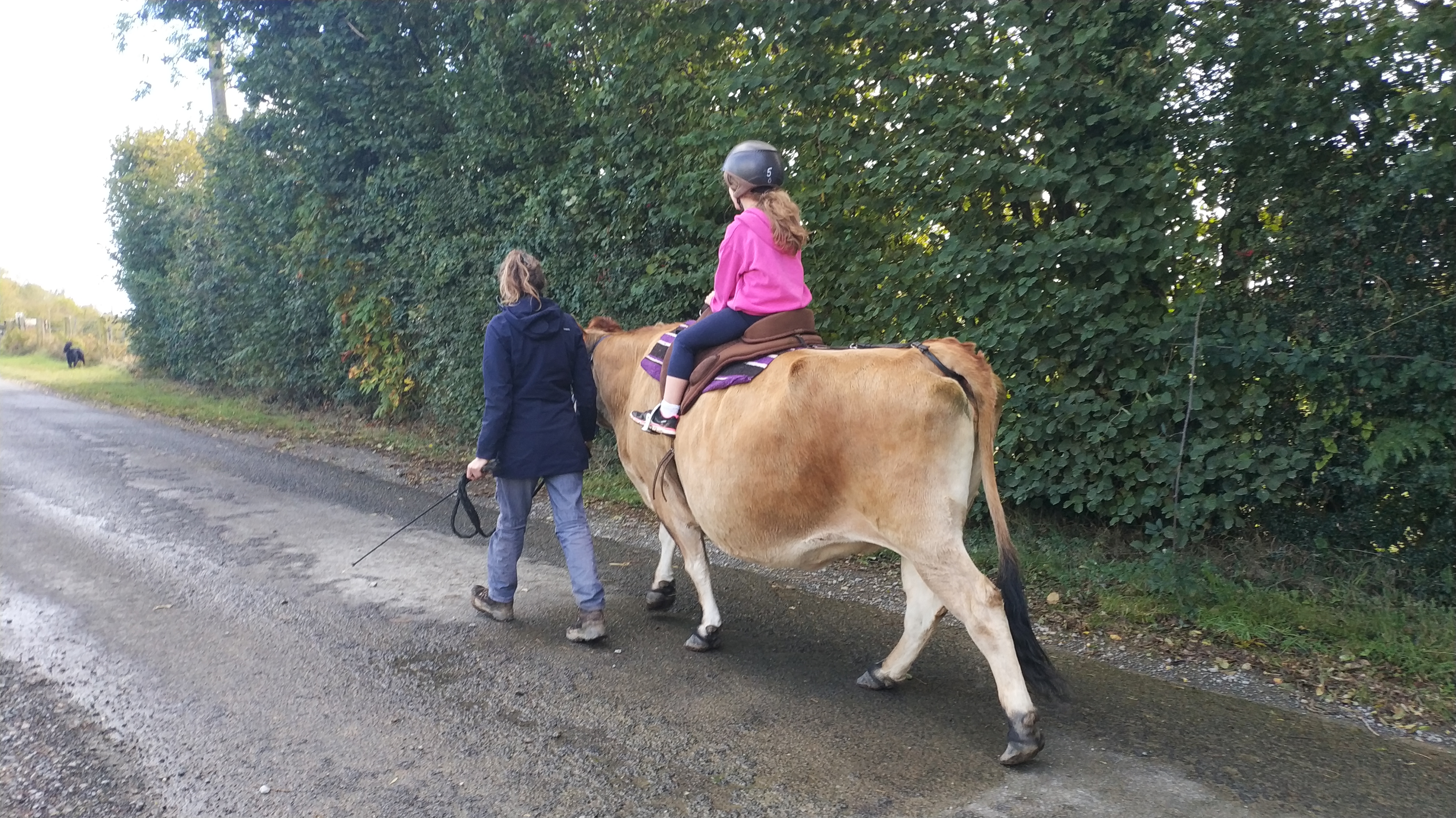 Photo n° 2 de l'avis de Fanny.a fait le 27/10/2023 à 20:21