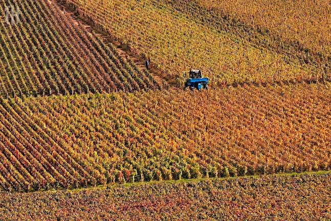 Infini Horizon Studio - Photographe