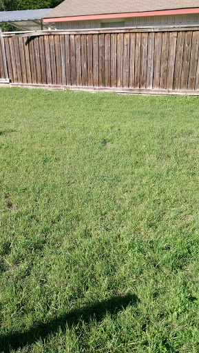 Park «Buckner Park», reviews and photos, 4550 Worth St, Dallas, TX 75246, USA