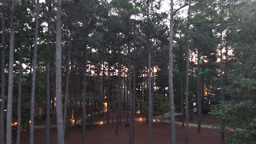 Luxury Hotel «The Ritz-Carlton Reynolds, Lake Oconee», reviews and photos, 1 Lake Oconee Trail, Greensboro, GA 30642, USA