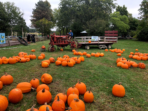 Farm «Abbey Farms», reviews and photos, 2855 Hart Rd, Aurora, IL 60502, USA