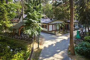 Ośrodek Wypoczynkowy Lublin Leśna Ryba - domki nad jeziorem, park linowy image