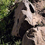 Photo n°1 de l'avis de Silvio.e fait le 27/04/2024 à 18:20 sur le  Restaurant Bergbaude à Eisfeld