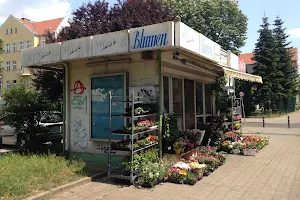 Blumen image