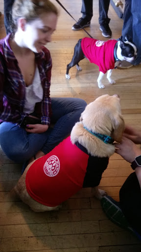 Beer Store «BEER SHOP», reviews and photos, 1026 North Blvd, Oak Park, IL 60302, USA