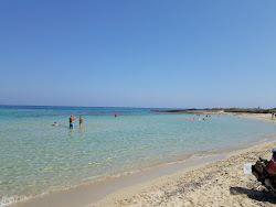 Zdjęcie Spiaggia di Torre Guaceto - popularne miejsce wśród znawców relaksu