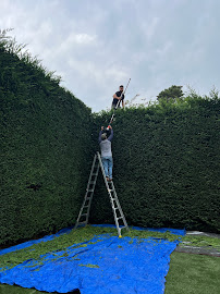 Yarok Landscapes LLC - Photo 9 - Car repair in Renton, WA, Kent