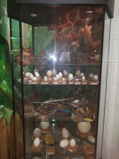 Golf Club «Stone Harbor Golf Club», reviews and photos, 905 U.S. 9, Cape May Court House, NJ 08210, USA