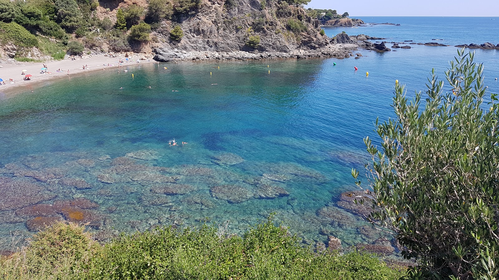 Foto von Platja del Cau del Llop mit reines blaues Oberfläche