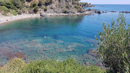 Platja del Cau del Llop