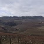 Photo n°2 de l'avis de marco.e fait le 01/05/2018 à 21:34 sur le  Locanda in Cannubi à Barolo