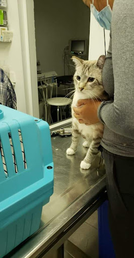 Omer Veterinary Services image