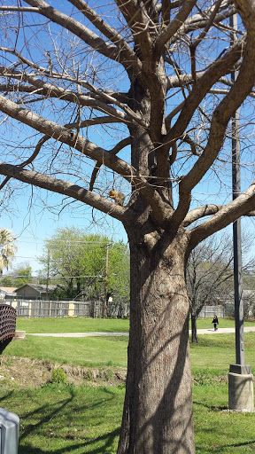 Park «Bob Cooke Park», reviews and photos, 2025 Craig Hanking Dr, Arlington, TX 76010, USA