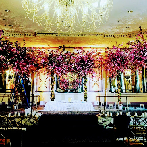 Florist «Blossom Heath Gardens», reviews and photos, 3025 Long Beach Rd, Oceanside, NY 11572, USA