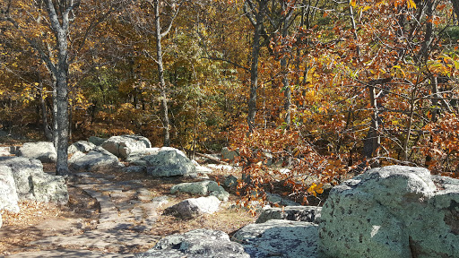 Winery «Sugarloaf Mountain Vineyard», reviews and photos, 18125 Comus Rd, Dickerson, MD 20842, USA