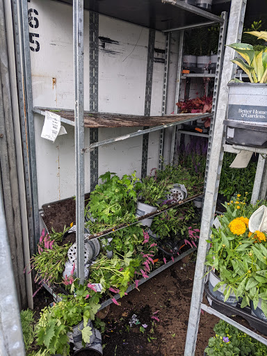 Department Store «Walmart Supercenter», reviews and photos, 300 Iowa Speedway Dr, Newton, IA 50208, USA