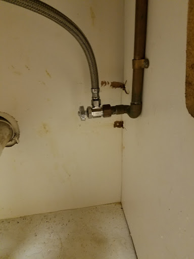 Plumber «Mr. Rooter Plumbing of Clearwater», reviews and photos, 1425 Sunset Point Rd, Clearwater, FL 33755, USA