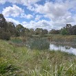 Trin Warren Tam-Boore Bellbird Waterhole